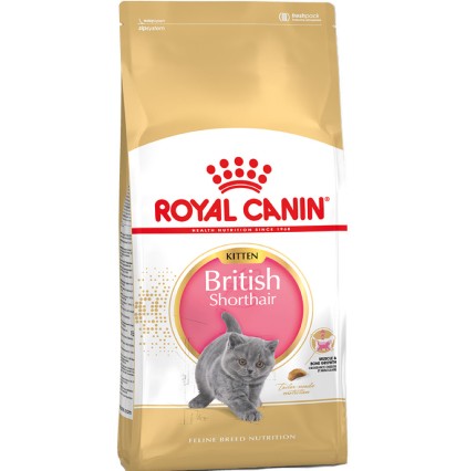 Royal Canin Kitten British сухой корм для британских котят 10 кг. 